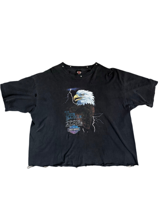 Re:002 “THUNDER BYRD”